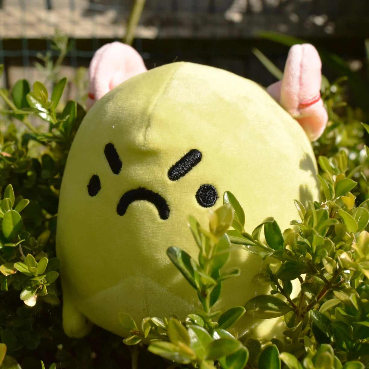 Grumpy the Angry Toad Plushie